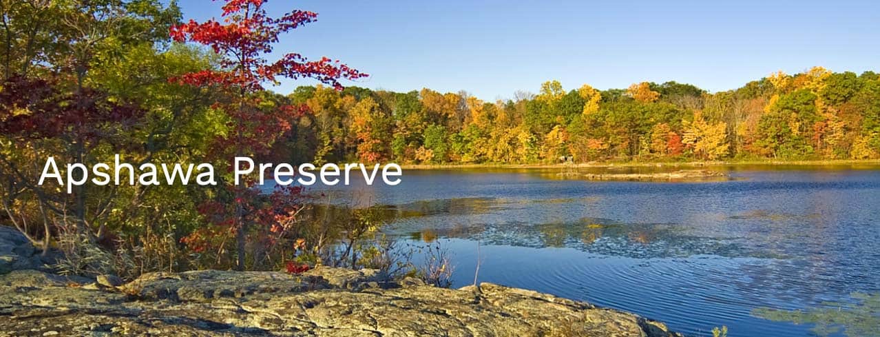 A shot of Apshawa Preserve in New Jersey, illustrating nonprofit website photography for the New Jersey Conservation Foundation