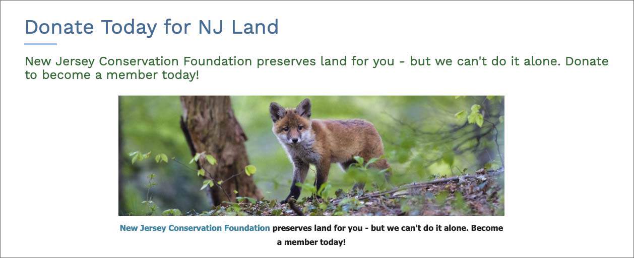 An example of great nonprofit website photography in the New Jersey Conservation Foundation's donate page