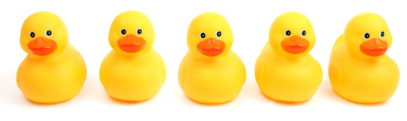 5 toy ducks in a row emphasizing 5 focus areas of nonprofit marketing success in 2021